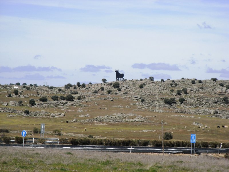 bei TRUJILLO, 11.03.2008, auf einem Rastplatz an der A-5; im Hintergrund der Osborne-Stier, ein spanisches  Wahrzeichen 