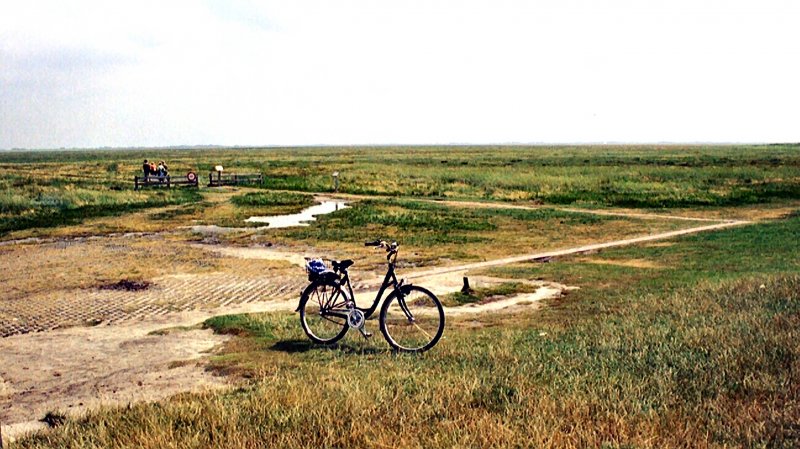 Beim weiten weg zum Meer hilft das Fahrrad, hinten zweigt der Pfad zum Meer ab, St. Peter-Ording 2003