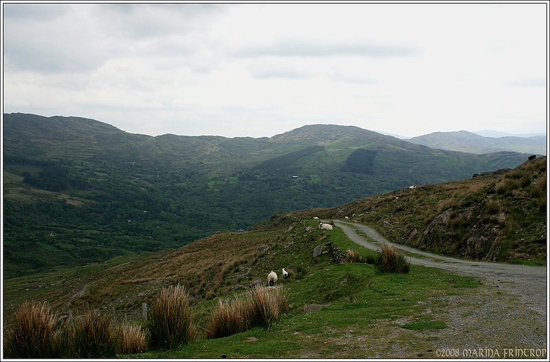 Bergweiden bei Glengariff, Irland Co. Cork.