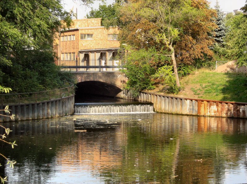 BERLIN, die Panke kurz vor der Mndung in den Berlin-Spandauer-Schifffahrtskanal, 2. 9. 2008