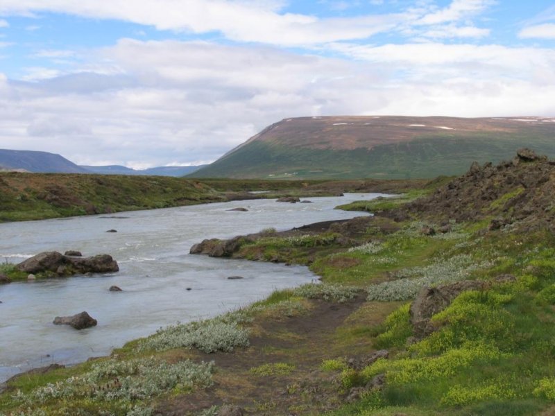 Bild in die Nhe von Godafoss am 8-7-2006.