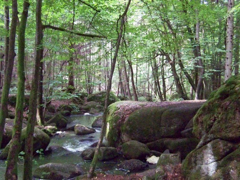 Bild vom Wanderweg durch die  Hlle  bei Falkenstein