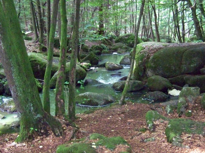 Bild vom Wanderweg durch die  Hlle  bei Falkenstein