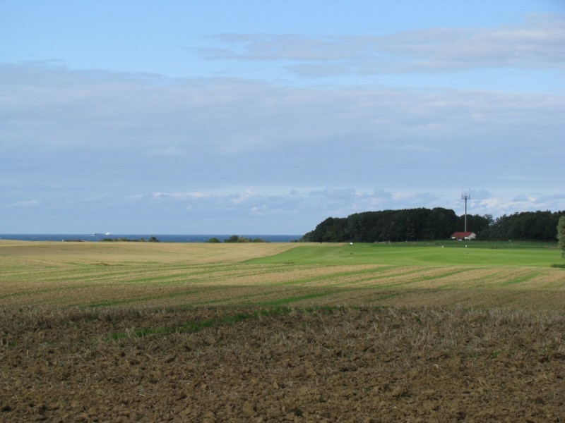 Blich von der Strae Redewisch nach Steinbeck zur Wetterstation Boltenhagen/Redewisch 13.09.2008