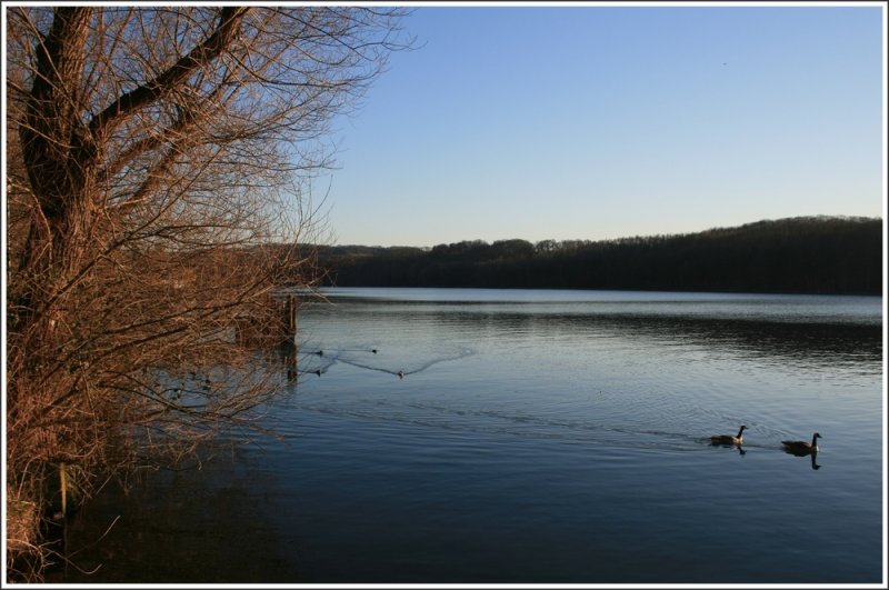 Blick auf den Baldeneysee in Essen - fotografiert vom Ufer in Heisingen.