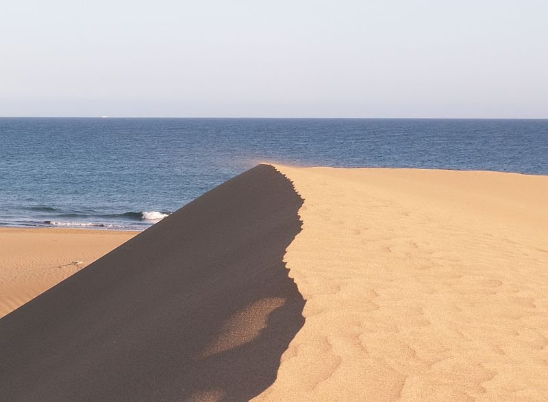 Blick auf das eine Dne im Landschaftsschutzgebiet in Maspalomas. Das Foto stammt vom 09.06.2008