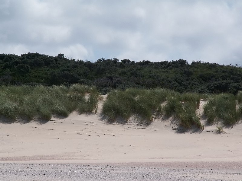 Blick auf die Dnenlandschaft in der Nhe von Renesse. Das Foto stammt vom 07.07.2007