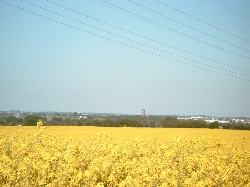 Blick auf die Hansestadt Wismar mit St. Georgen-Kirche und  Nikolaikirche u.a.(05. Mai 2007) 