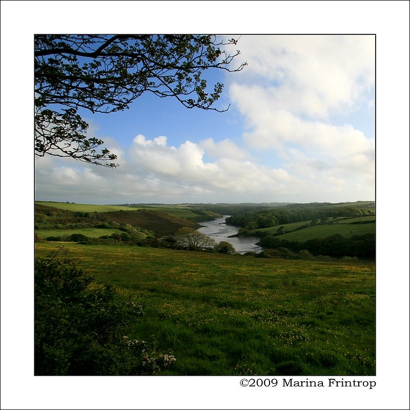 Blick auf den Helford River in der Nhe von Constantine, Cornwall UK.