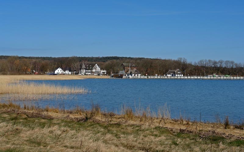 Blick auf Kloster, Mrz 2008