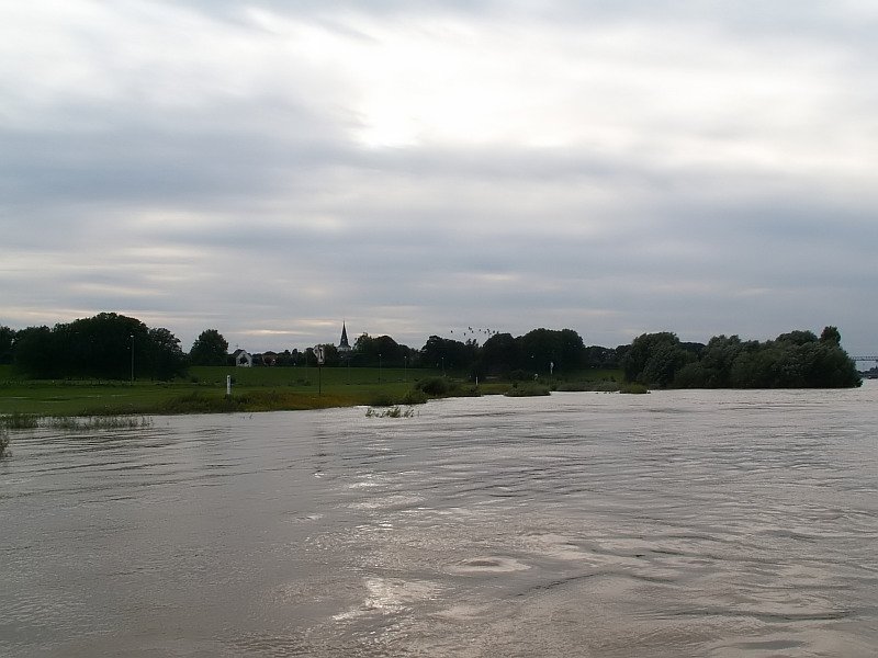 Blick auf Orsoy ber das diesjhrige Rheinhochwasser. Das Foto stammt vom 14.08.2007