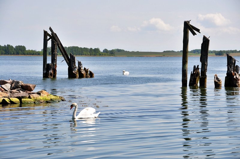 Blick auf den Sund vom Dnholm aus 