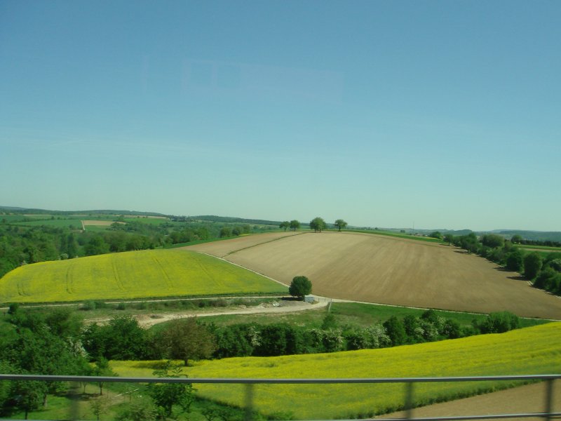 Blick aufs Feld. Aufgenommen am 02.05.07