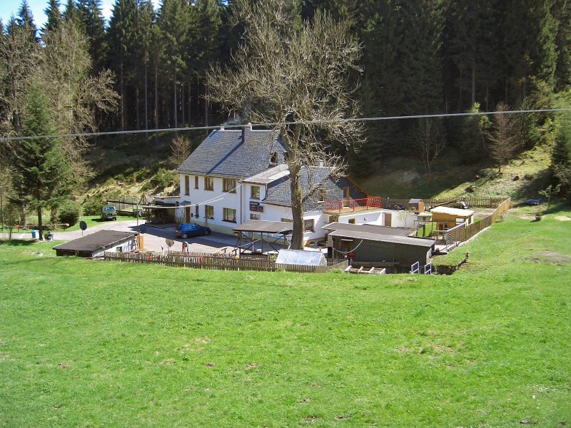 Blick aus der Rennsteigbahn, Landschaft bei Sttzerbach (Thringer Wald), 2005