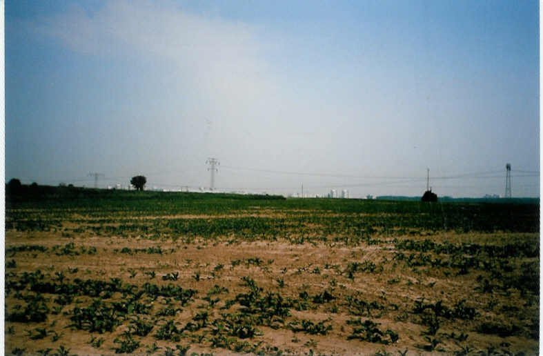 Blick von der Autobahn aus ber Felder nach Magdeburg, damals noch in der DDR!