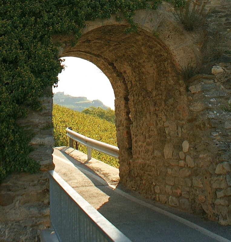 Blick von der Brcke ber die Dalaschlucht auf die Rebberge von Leuk.
(Sept. 2008)