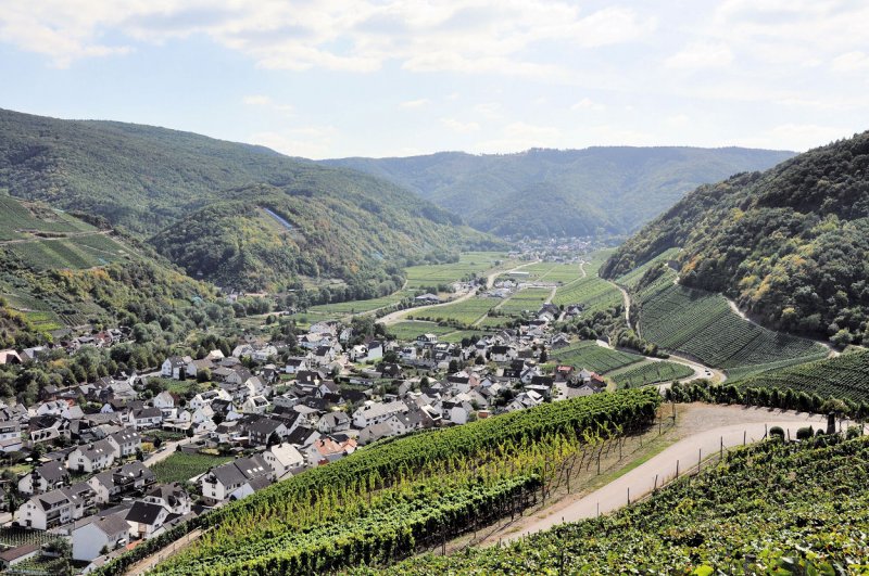 Blick von Dernauer Weinbergen ins Ahrtal Richtung Westen - 11.09.2009