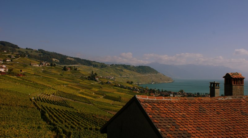 Blick von Grandvaux ber das Lavaux.
(Oktober 2009)