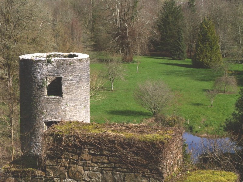 Blick von Hauptturm ber das Gelnde. Blarney Castle liegt direkt bei Cork.