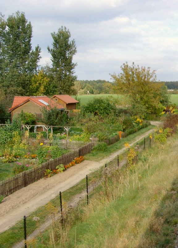 Blick von der Heidekrautbahn auf Gartenanlagen im Norden Berlins,2007