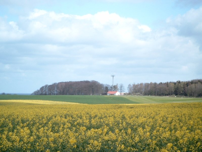 Blick hinber zur Wetterstation Boltenhagen-Redewisch (18. April 2007)