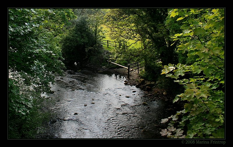 Blick von einer kleinen Brcke - Meeting of the Waters, Irland County Wicklow.