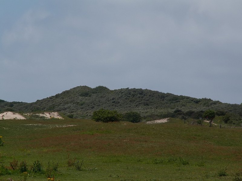 Blick, von der Landseite her, ber die Dnenlandschaft in der Nhe von Renesse. Das Foto stammt vom 07.07.2007