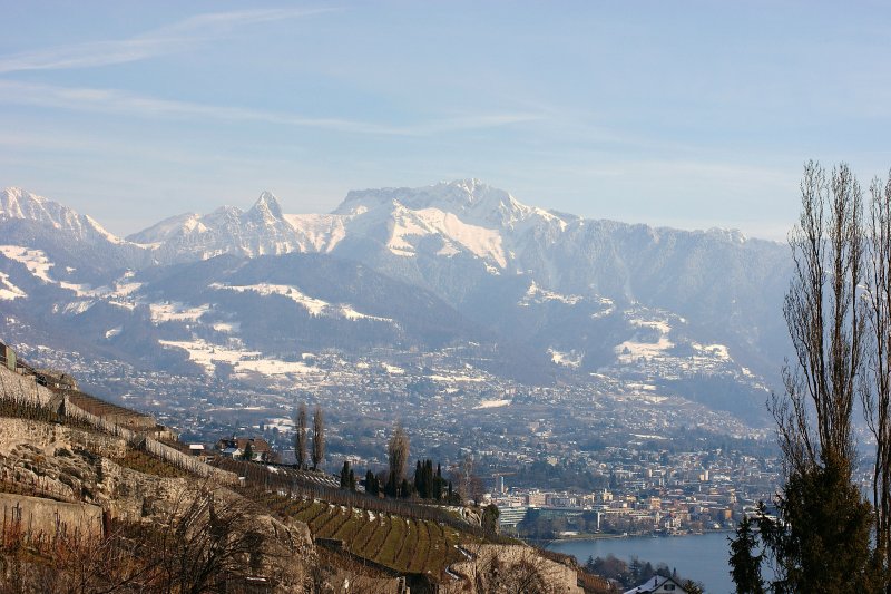 Blick vom Lavaux auf den Rochers-de-Naye und Dents de Jaman (15.02.2009)
