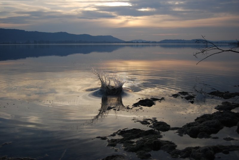 Blick von der Mettnau bei Radolfzell in Richtung Hri - Ein Stein fllt ins Wasser. Aufgenommen am 09.03.2008 in der Abenddmmerung.