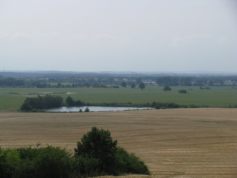 Blick von der Plattform auf dem  Iserberg  zum Oll Mur  Karpfenteich  und Grevesmhlen, Frhjahr 2009