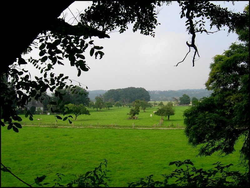 Blick in die Ruhrauen zwischen Essen-Kettwig und Mlheim-Mintard (auf Hhe Schloss Hugenpoet)