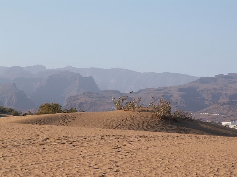 Blick ber die Dnen von Maspalomas in Richtung Landesinnere von Gran Canaria. Das Foto stammt vom 09.06.2008