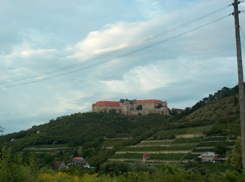 Blick ber die Freyburger Weinberge hinauf zur Neuenburg. 26.07.2007