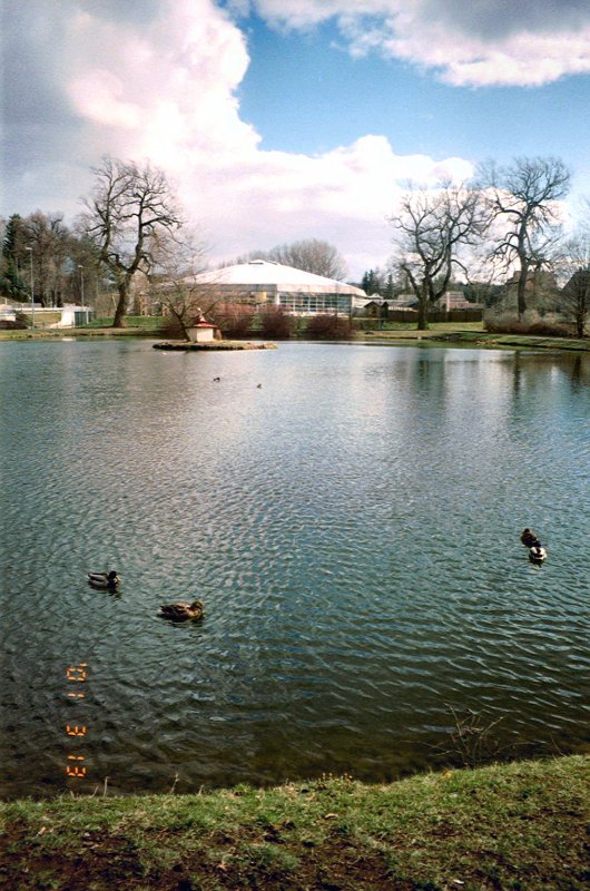 Blick ber den Klosterteich, Bad Klosterlausnitz 2001