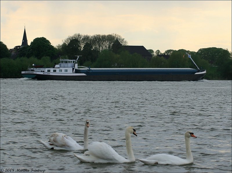 Blick ber den Rhein von Duisburg-Walsum nach Orsoy.