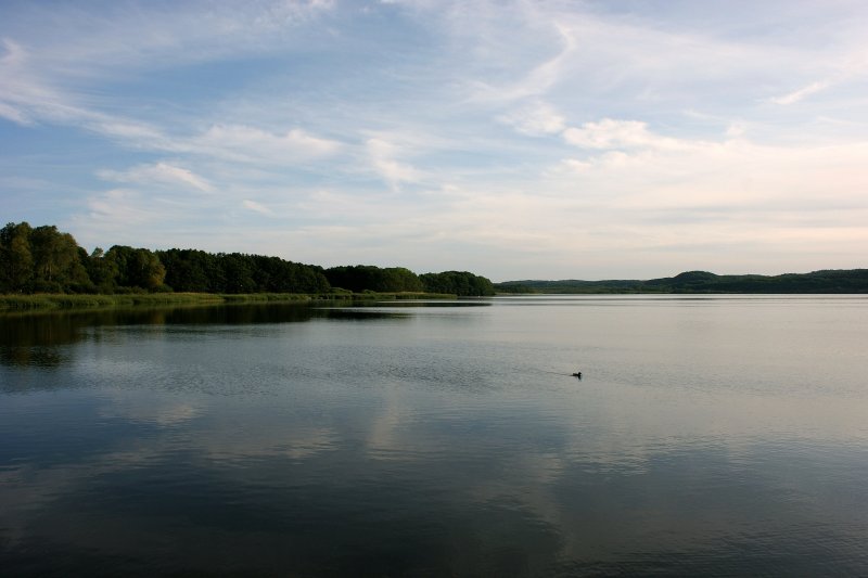 Blick ber den Schmachter See.
(Juni 2009)