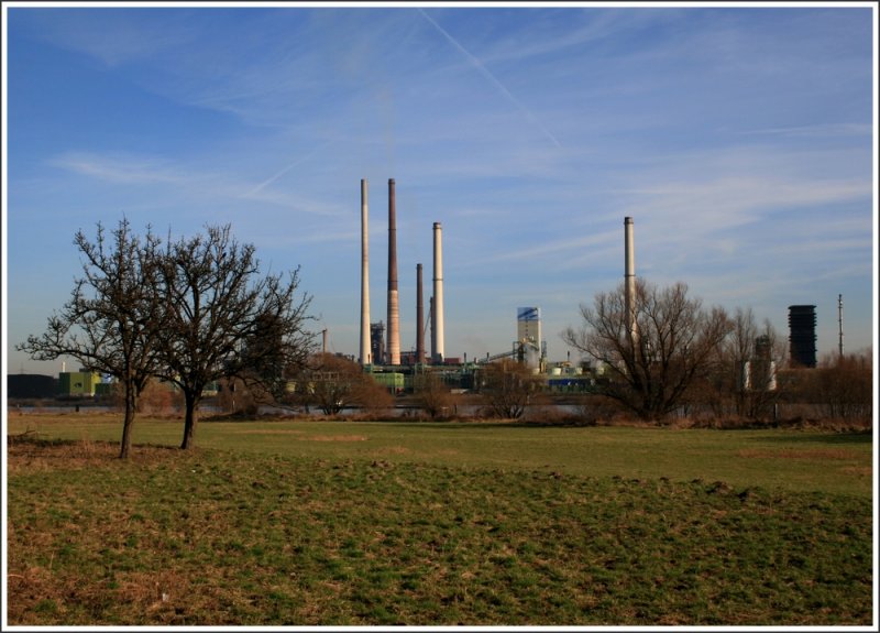 Blick ber eine Wiese mit Obstbumen in den Binsheimer Rheinauen auf die Carbonaria-Kokerei in Duisburg-Schwelgern.