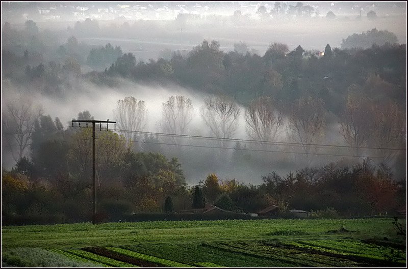 Blick von uns aus ins Remstal an einem Oktobermorgen. 

17.10.2008 (M