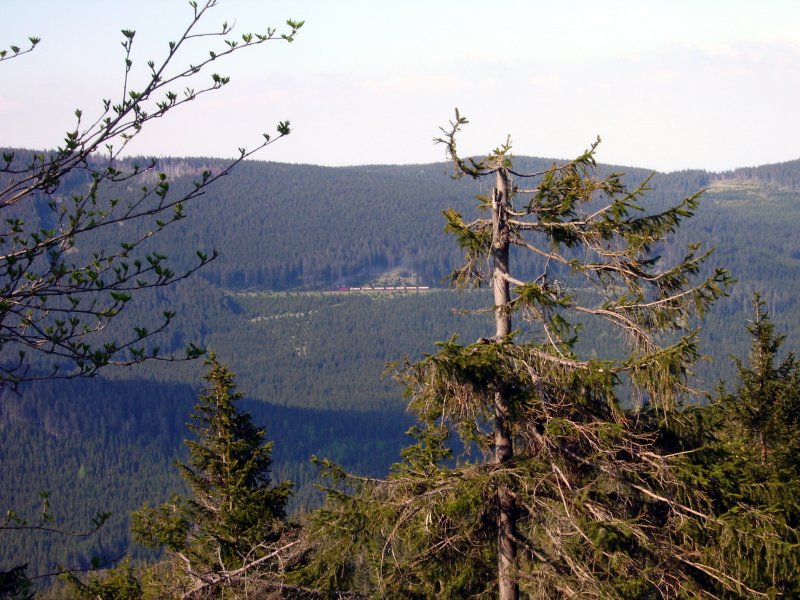 Blick vom Wurmberg Richtung Brocken. Sommer 2008