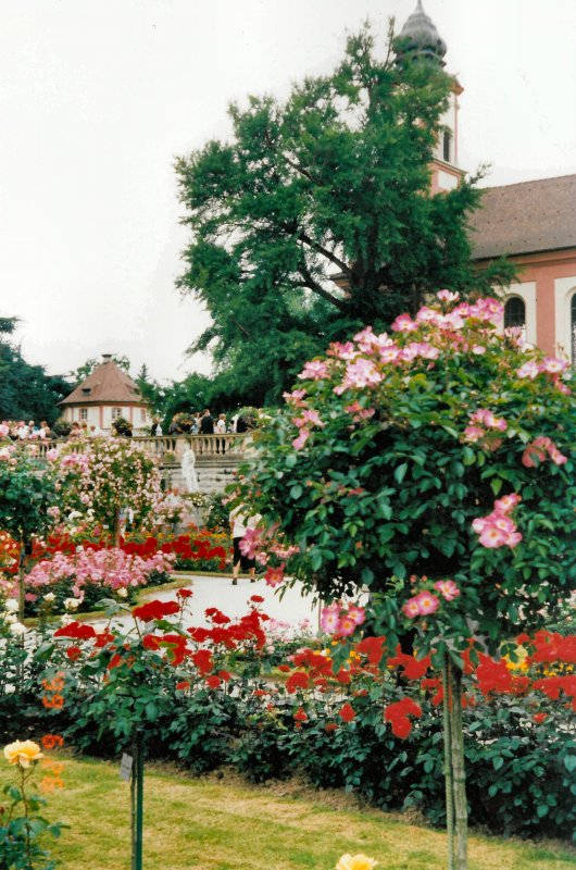 Blumeninsel Mainau im Bodensee, Sommer 2004