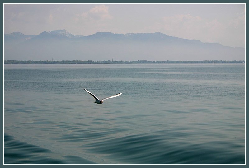 Bodensee und Vorarlberg, 

26.04.2007 (M) 