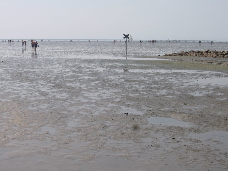 Bsum, Strand bei Ebbe, 2006