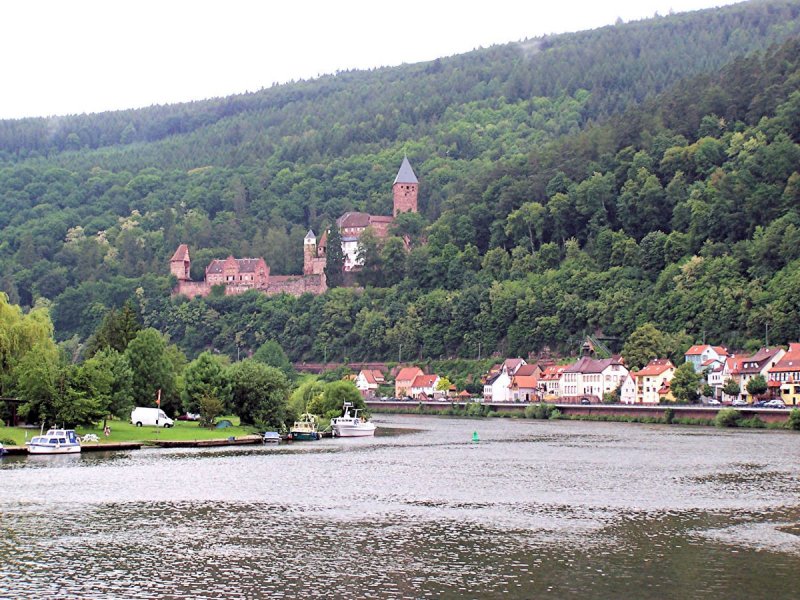 Burg am Neckar - 05.06.2004