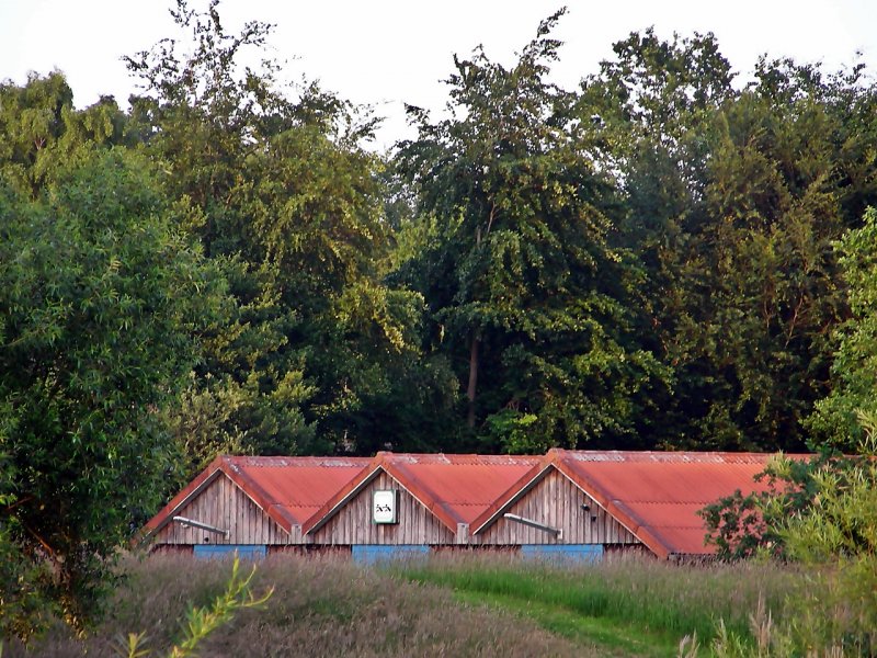 Dcher hinterm Deich an der Oste, Bremervrde