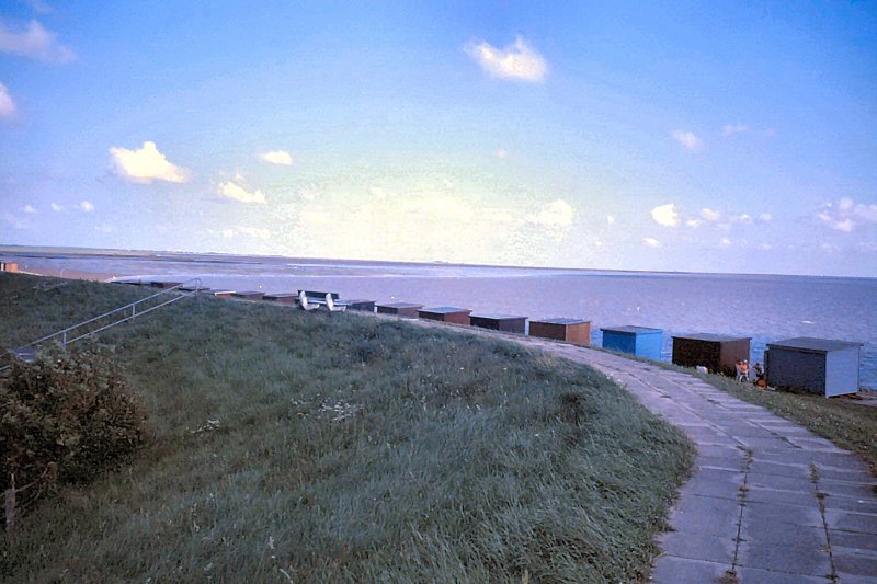 DAGEBLL, auf dem Deich, Wattenmeer 2004
