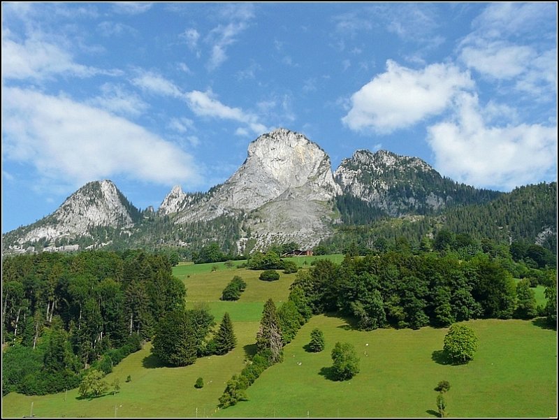 Damit ihr mir nicht alle in Winterdepressionen verfallt, hier noch ein Sommerbild aus dem Simmental aufgenommen am 31.07.08 zwischen Boltigen und Zweisimmen. (Jeanny)