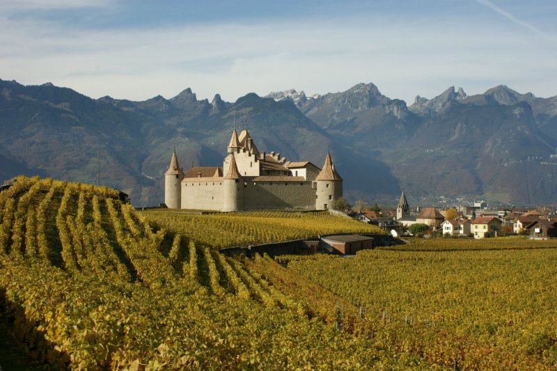 Das Chteau d'Aigle in Herbststimmung.
(November 2008)