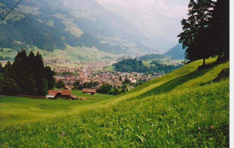 Das Dorf Frutigen, vom Brschgen aus gesehen