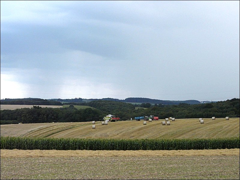 Das drohende Gewitter am 17.08.08 lsst Hektik bei der Ernte in Heiderscheid ausbrechen. (Jeanny)