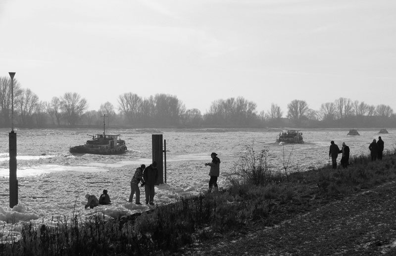 Das Eis - whrend es Sonntagspaziergnger und Kinder erfreut, kmpfen vier Eisbrecher dagegen an; Elbe bei Geesthacht, 11.01.2009
